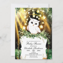 Whimsical Niedlich Owl Baby Dusche