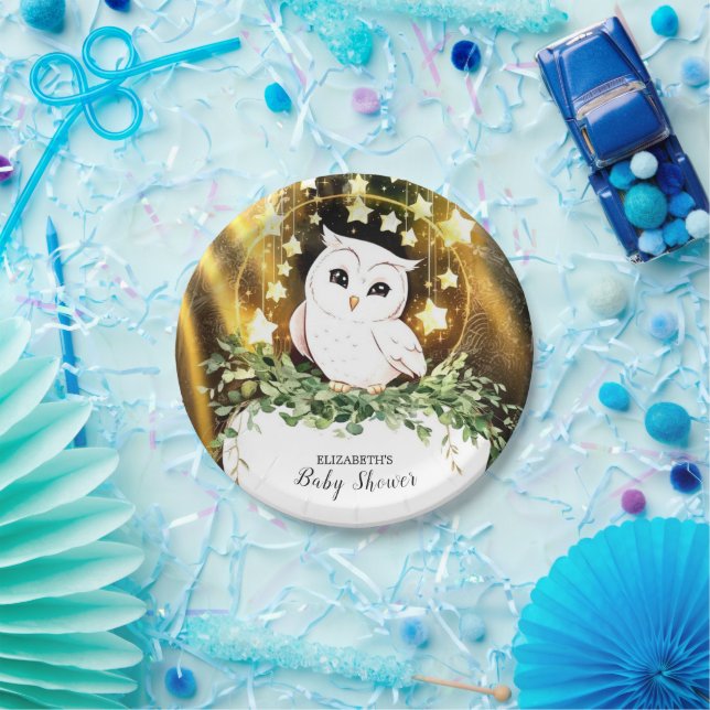 Whimsical Niedlich Owl Baby Dusche Pappteller (Party)