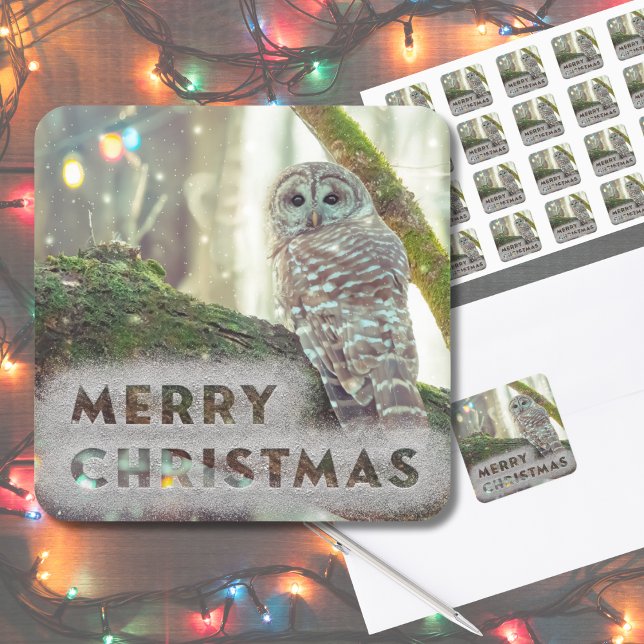 Whimsical Owl im Winter Frohe Weihnachten Quadratischer Aufkleber (Original nature photography made "magical" with some editing. This owl is perfect for your cards.)