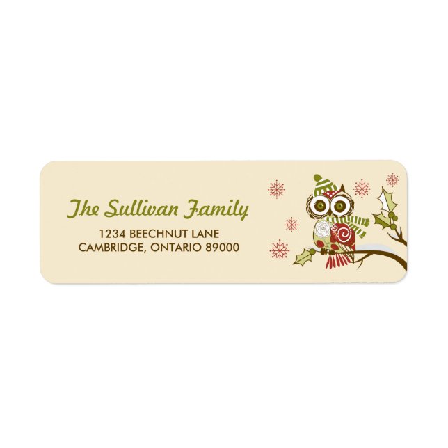 Whimsical Retro Owells and Snowflakes Holiday Labe (Vorne)
