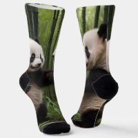 Whimsical Wonders: Baby Pandas Play in Forest,