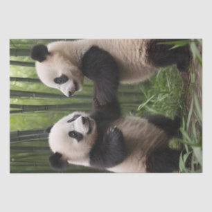 Whimsical Wonders: Baby Pandas spielt im Wald Seidenpapier