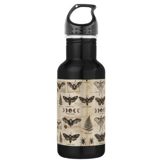 Whimsigoth Botanische Exemplare Antike Motte Flede Edelstahlflasche