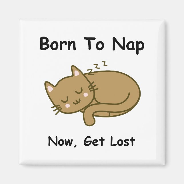 Whimsikkatze Magnet (Vorne)