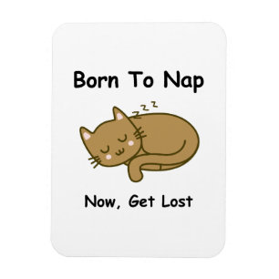 Whimsikkatze Magnet