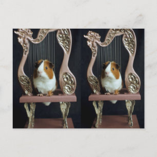 Whimsische Meerschweinchen-Harfe-Postkarte – Elega Postkarte