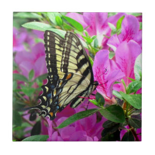 Whimsy Art Tile Fliese