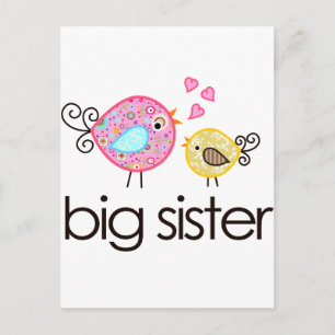 Whimsy Birds Big Sister T - Shirt Ankündigung