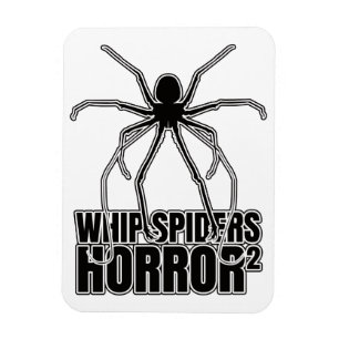 Whip Spiders Whip Scorpion Amblypygi - Entomologie Magnet