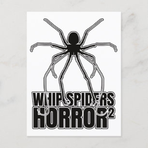 Whip Spiders Whip Scorpion Amblypygi - Entomologie Postkarte