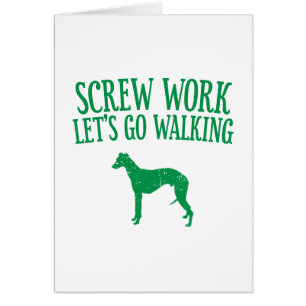 Whippet