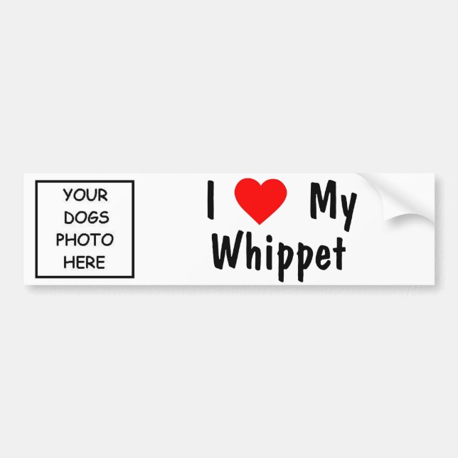 Whippet Autoaufkleber (Vorne)