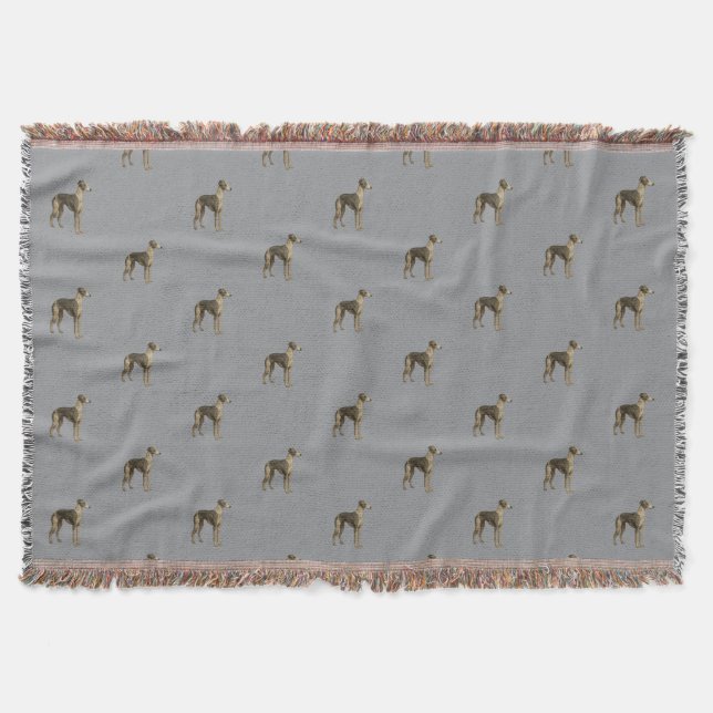 Whippet-Decke - Whippet vor grauem Hintergrund Decke (Vorderseite)
