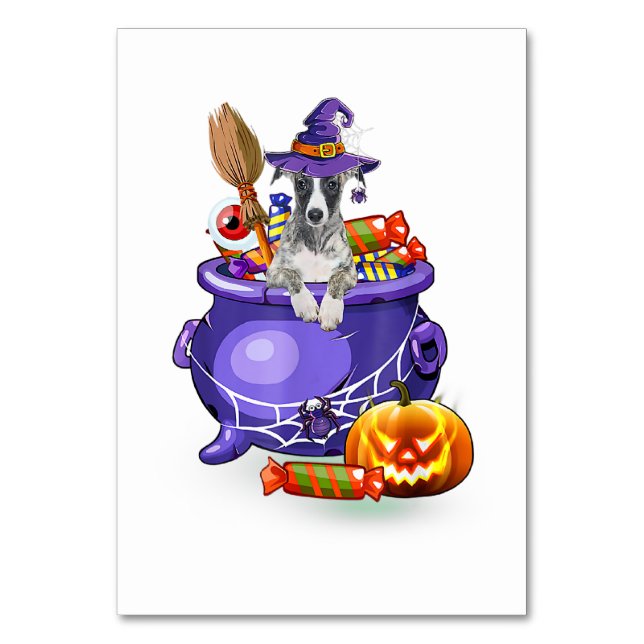 Whippet Dog with witch hat Candy Pumpkin Halloween Tischnummer (Vorderseite)