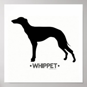 Whippet Druck Poster