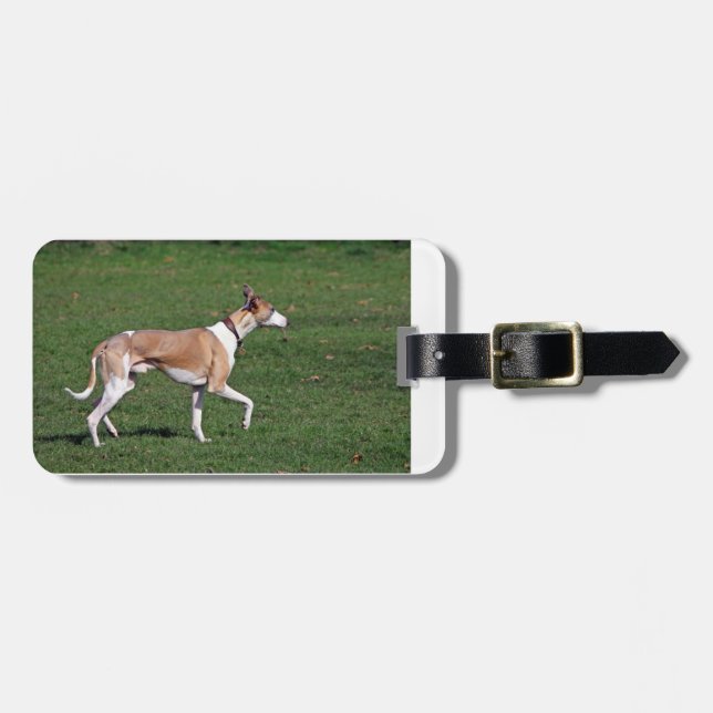 whippet-full.png gepäckanhänger (Vorderseite horizontal)