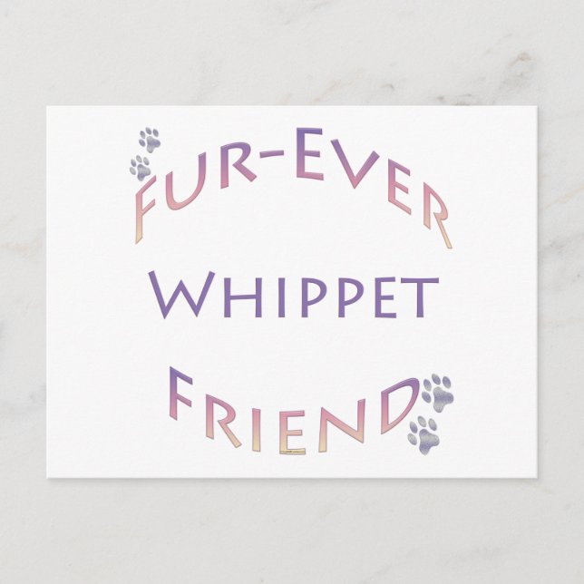 Whippet Furever Friend Postkarte (Vorderseite)