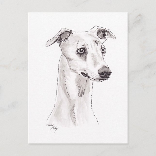 Whippet Hund Art Postkarte (Vorderseite)