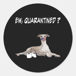 Whippet Hund Ew isoliert Hund tragen eine Gesichts Runder Aufkleber