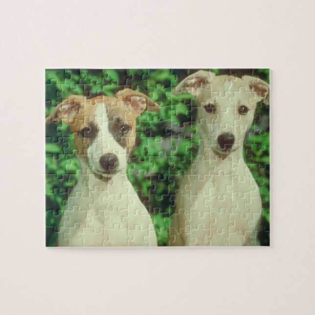 Whippet Hundezinn und -puzzlespiel (Horizontal)