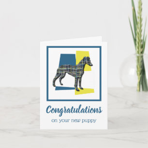Whippet / Italienisch Greyhound Puppy Glückwunsch Karte