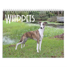 Whippet-Kalender
