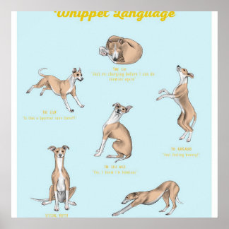Whippet Language Whippet Canvas Poster