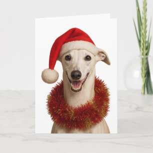 Whippet mit Santa-Hut Weihnachtsgrußkarte Karte