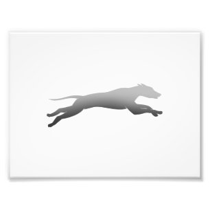 Whippet Running Silhouette Fotodruck