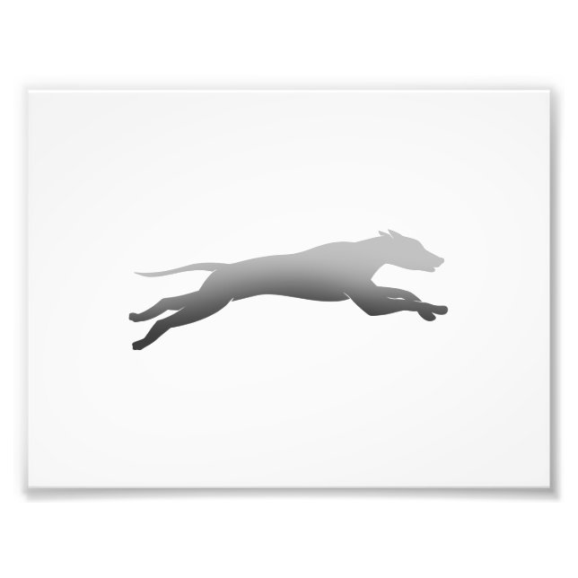 Whippet Running Silhouette Fotodruck (Vorne)