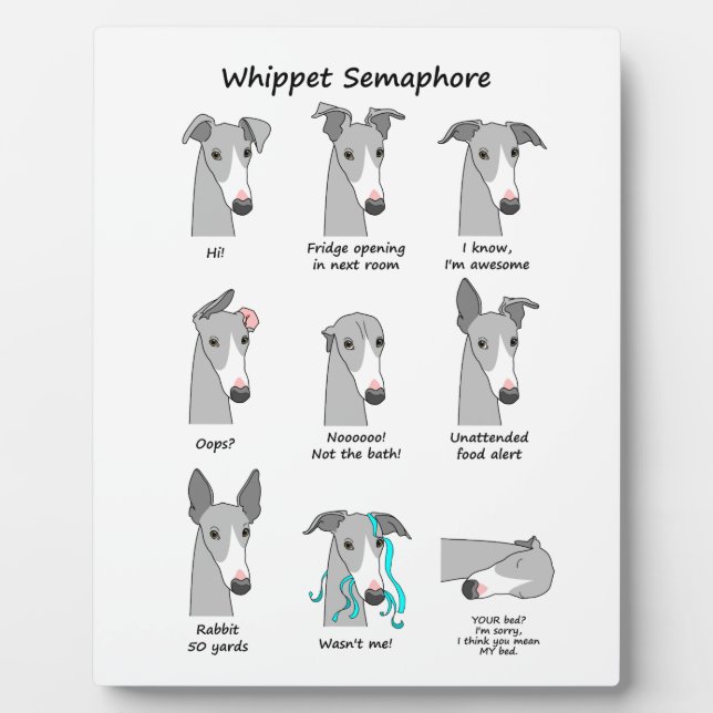 Whippet Semaphore Fotoplatte (Vorderseite)