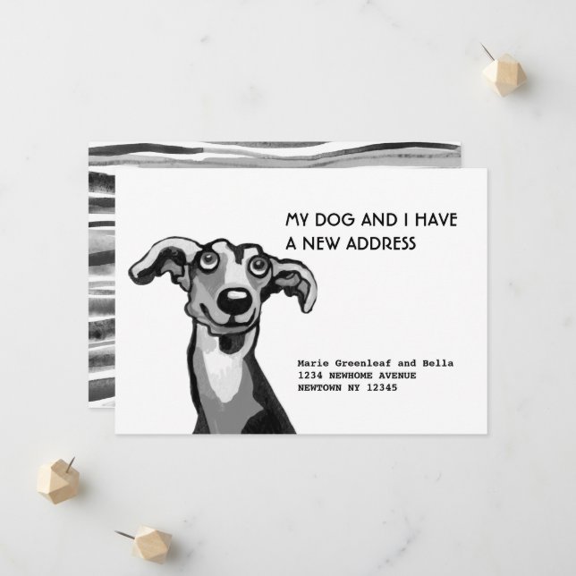 Whippet und ich sind umgezogen, Flat Announction C Ankündigung (Vorderseite/Rückseite Beispiel)