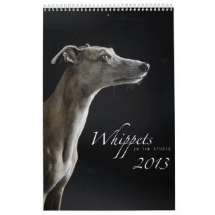 Whippets im Studio 2013 Kalender