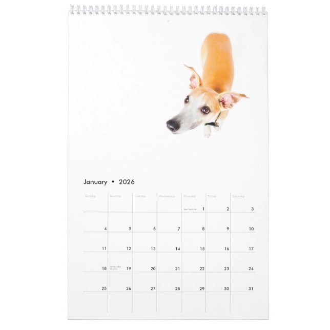 Whippets im Studio 2013 Kalender (Jan 2026)