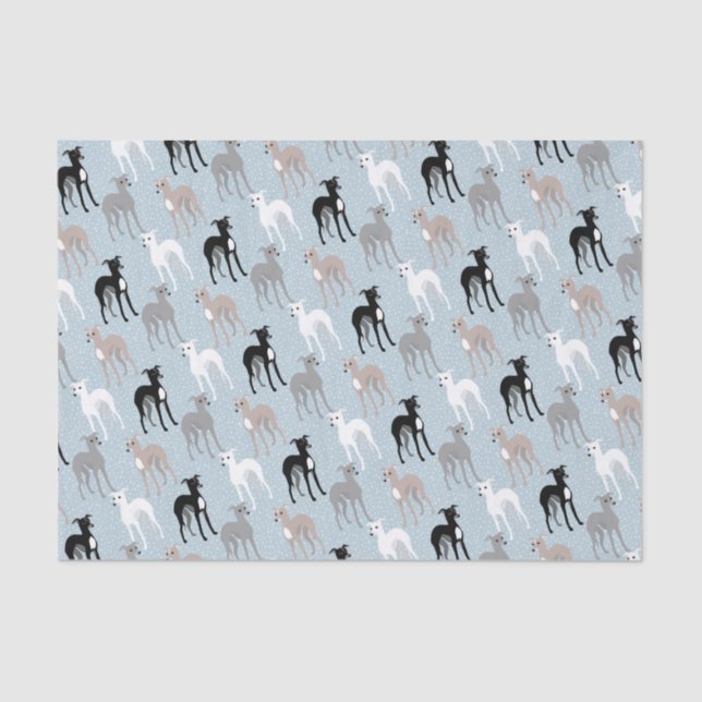 Whippets oder italienisches Greyhounds-Tissue Seidenpapier (Vorderseite)