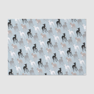 Whippets oder italienisches Windhunde-Papierpapier Seidenpapier