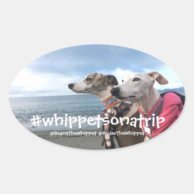 #whippetsonatrip in WA Ovaler Aufkleber (Vorderseite)