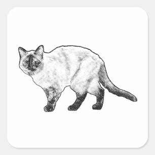 Whisker Fun, gepunkteter Katzenaufkleber Quadratischer Aufkleber