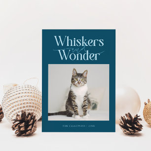 Whiskys & Wonder Cat Foto Aquamarin Weihnachten