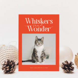 Whiskys & Wonder Cat Foto Retro Weihnachten