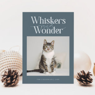 Whiskys & Wonder Cat Foto Weihnachten