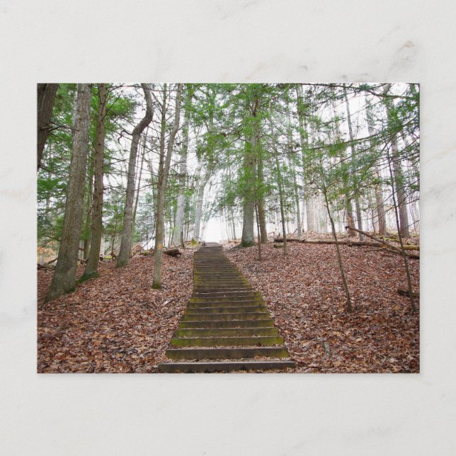 Whisperhöhle, Hocking Hills Staat Park, Ohio Postkarte (Vorderseite)