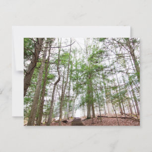 Whisperhöhle, Hocking Hills Staat Park, Ohio Postkarte