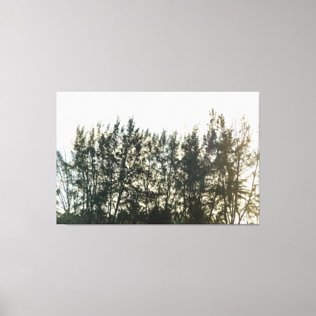 Whispering Pines of Taquari Leinwanddruck (Vorderseite)