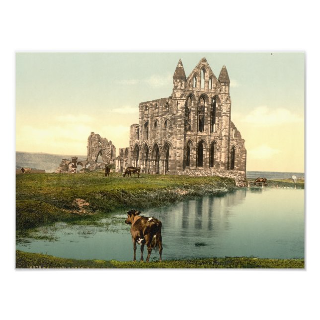 Whitby Abbey II, Whitby, Yorkshire, England Fotodruck (Vorne)