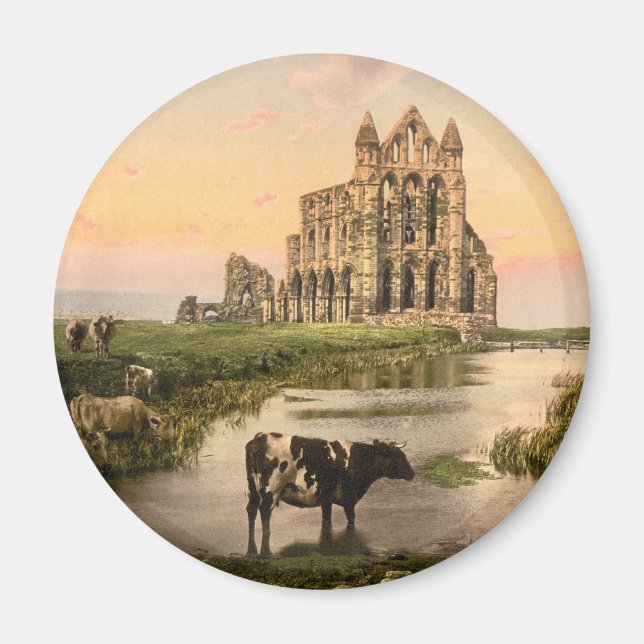 Whitby Abbey III, Whitby, Yorkshire, England Magnet (Vorne)