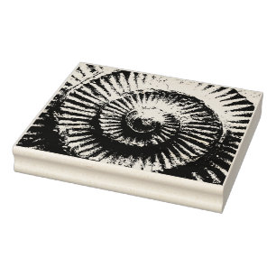 Whitby Ammonite Gummistempel