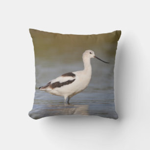White American Avocet Kissen