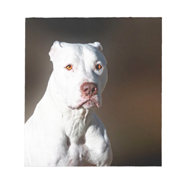 White American Pitbull Terrier Rescue Dog Notizblock (Vorderseite)