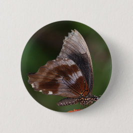 White and Brown Butterfly on Red Flower Button